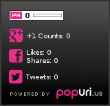 Social popularity of schmidt-neuwied.de on Popuri