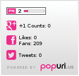 Social popularity of schmid-gesmbh.de on Popuri