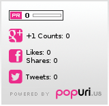 Social popularity of schmidt-neuwied.de on Popuri